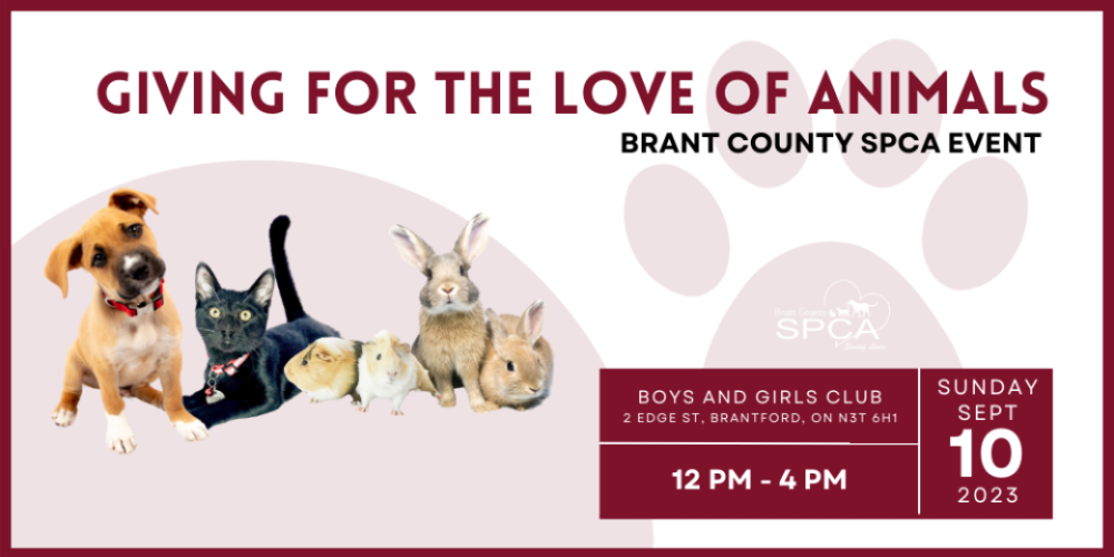 Giving For the Love of Animals – Brant County SPCA Event