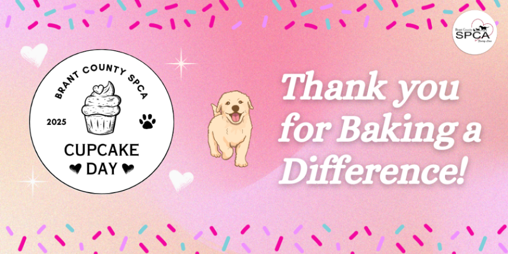 Donate for Cupcake Day