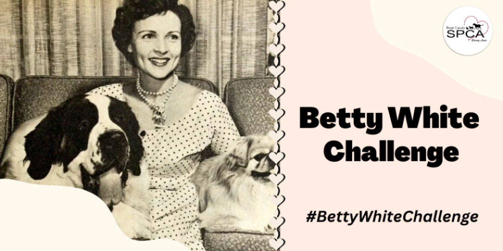 The Betty White Challenge returns this year at the Brant County SPCA