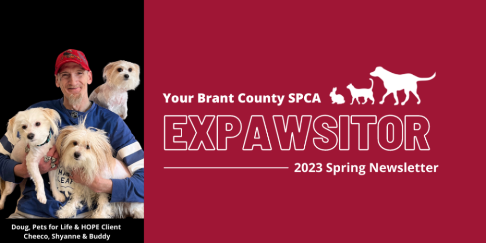 Expawsitor Spring Newsletter