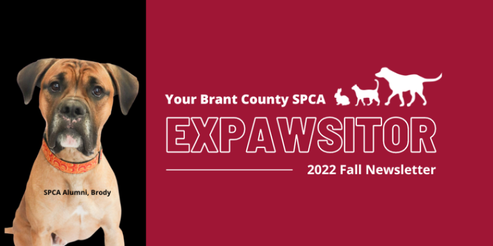 Expawsitor Fall Newsletter