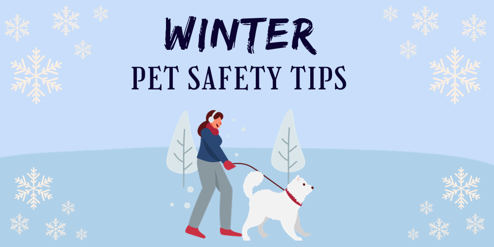 Winter Wonderland: Cold Weather Safety Tips for Your Furry Friends